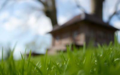 Die Bedeutung der Tiefenschärfe