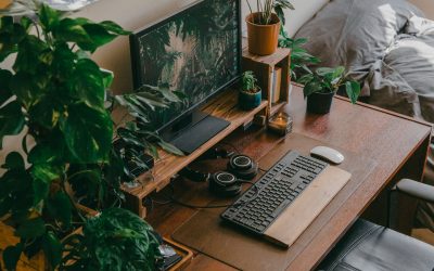 Günstige DIY-Fotografie-Tools selbst herstellen